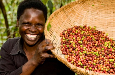 Uno de los trabajadores en las plantaciones de café de Uganda